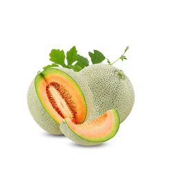 Cucumber Melon