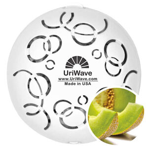 Intensity Cucumber Melon - karton