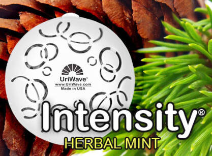 Intensity Herbal Mint - Karton - wkład do dyfuzora zapachów